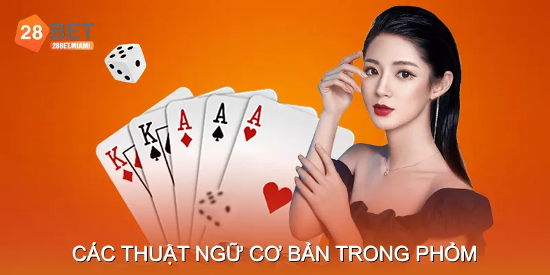 Các thuật ngữ cơ bản trong phỏm Các thuật ngữ cơ bản trong phỏm