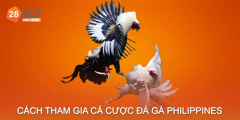 Cách Tham Gia Cá Cược Đá Gà Philippines