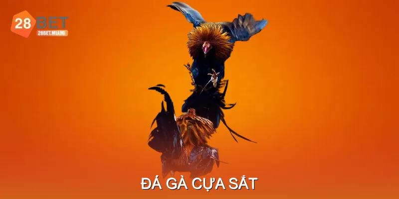 Đá Gà Cựa Sắt Kỹ Thuật Tấn Công, Phòng Thủ Hiệu Quả