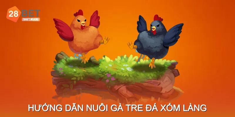 Hướng Dẫn Nuôi Gà Tre Đá Xóm Làng Hướng Dẫn Nuôi Gà Tre Đá Xóm Làng