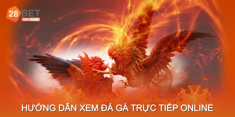 Hướng dẫn xem đá gà trực tiếp online Hướng dẫn xem đá gà trực tiếp online