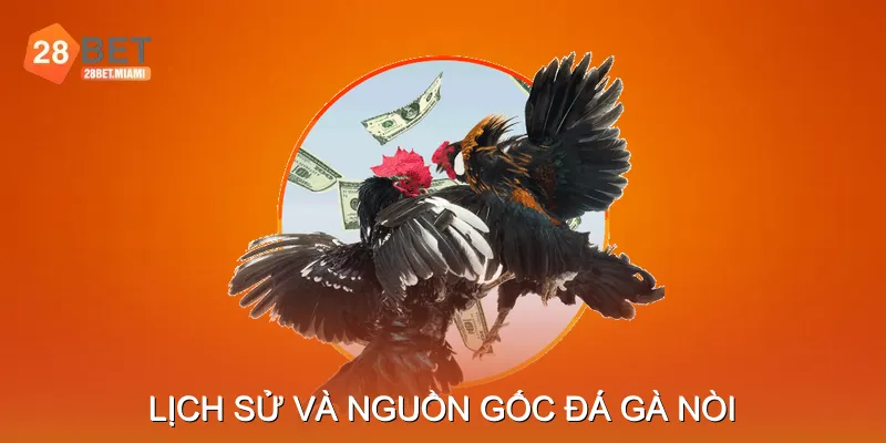 Lịch Sử Và Nguồn Gốc Đá Gà Nòi