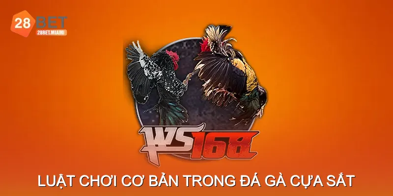 Luật Chơi Cơ Bản Trong Đá Gà Cựa Sắt