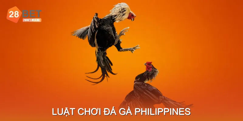 Luật Chơi Đá Gà Philippines Luật Chơi Đá Gà Philippines