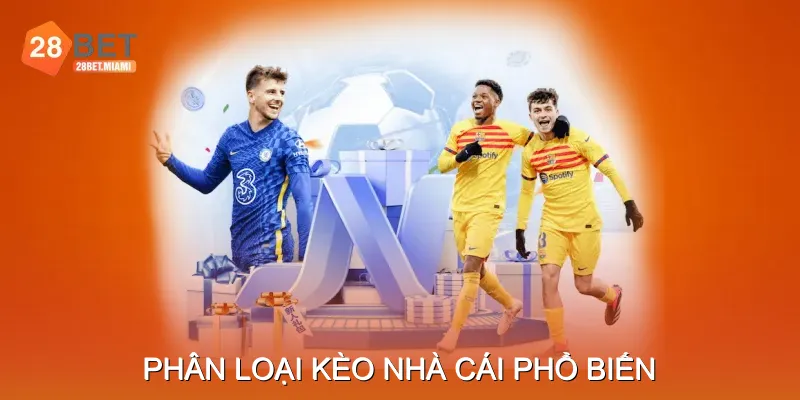 Phân Loại Kèo Nhà Cái Phổ Biến