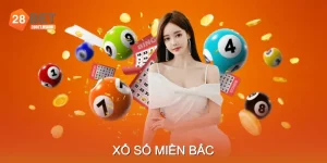 Xổ Số Miền Bắc Tạo Nên Sự Hồi Hộp Qua Từng Kỳ Quay